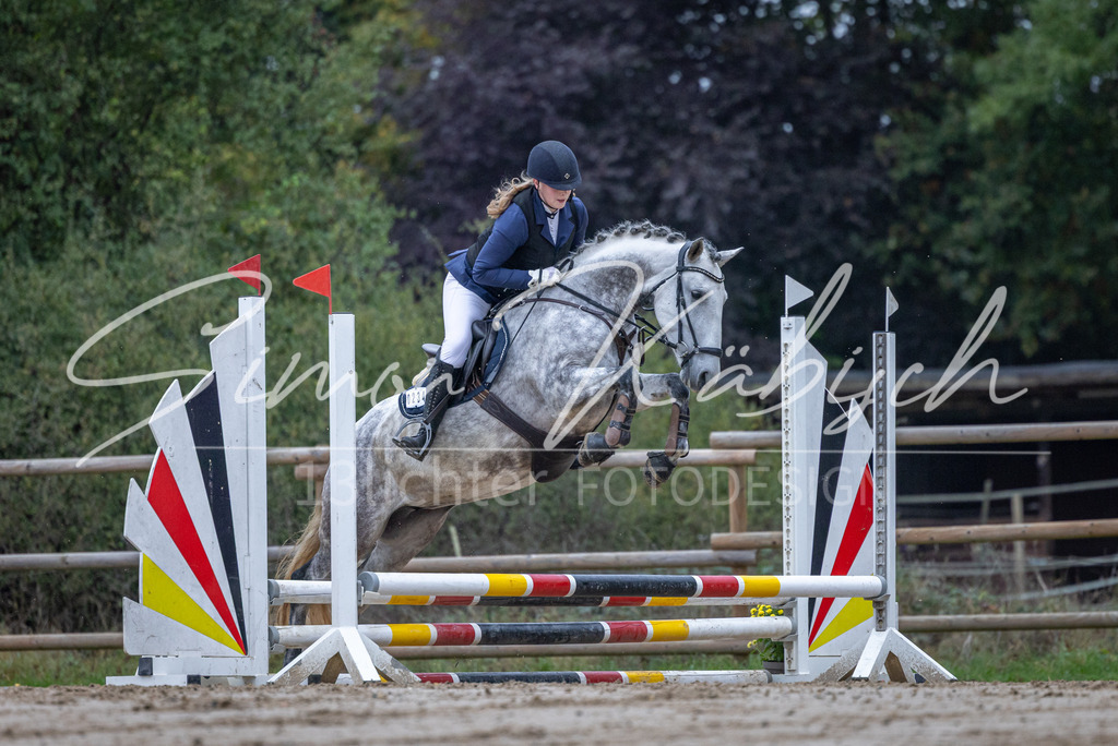 20251012-_3LI2553 | Tierfotografie Pferde, Hunde, Katzen, Haustiere.
Turnierfotografie Reitturniere, Reiten, Springreiten, Dressur in Hanau, dem Main-Kinzig-Kreis und dem Rhein-Main- Gebiet um Frankfurt