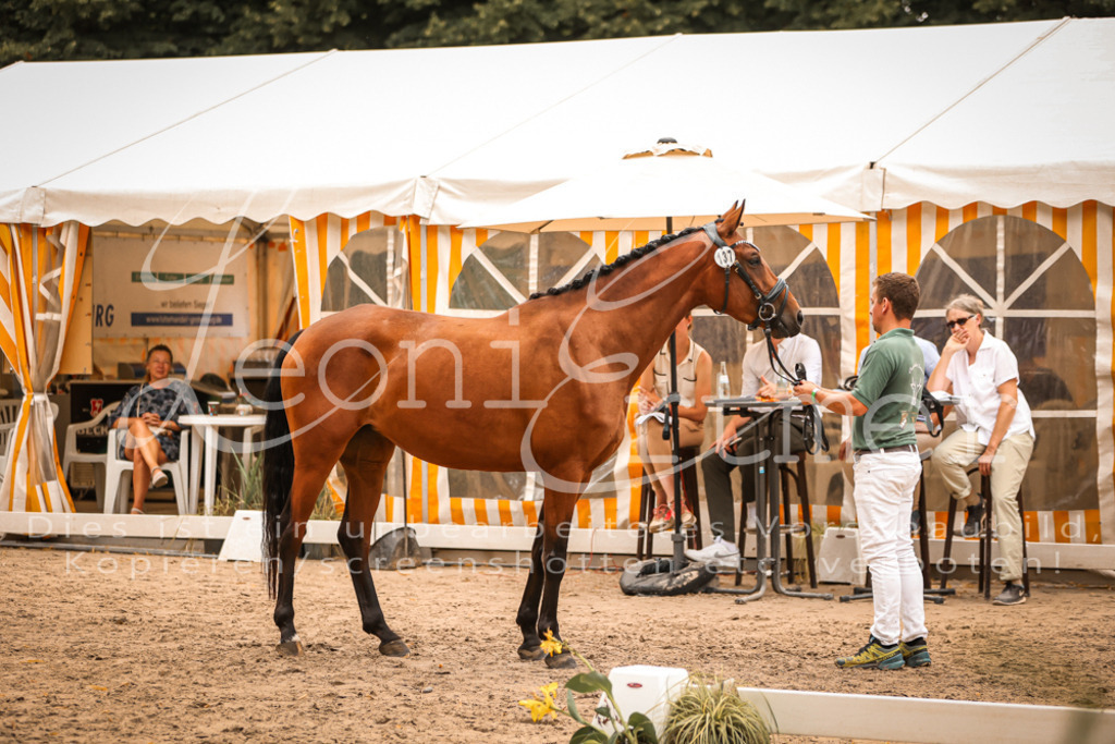 05.So00006 | Leoni Ertmer Photography - Realisiert mit Pictrs.com