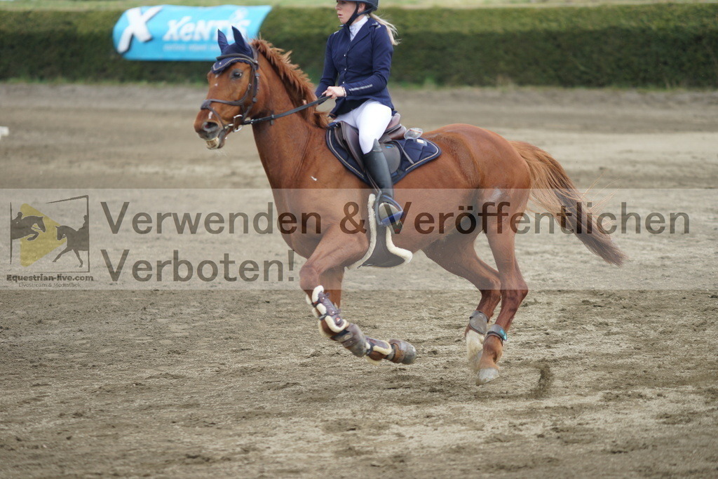 DSC04391 | equestrian-live-com