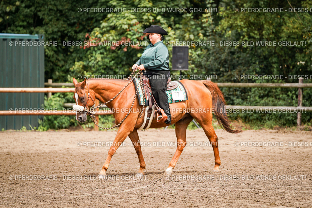 DSC04750 | Pferdegrafie