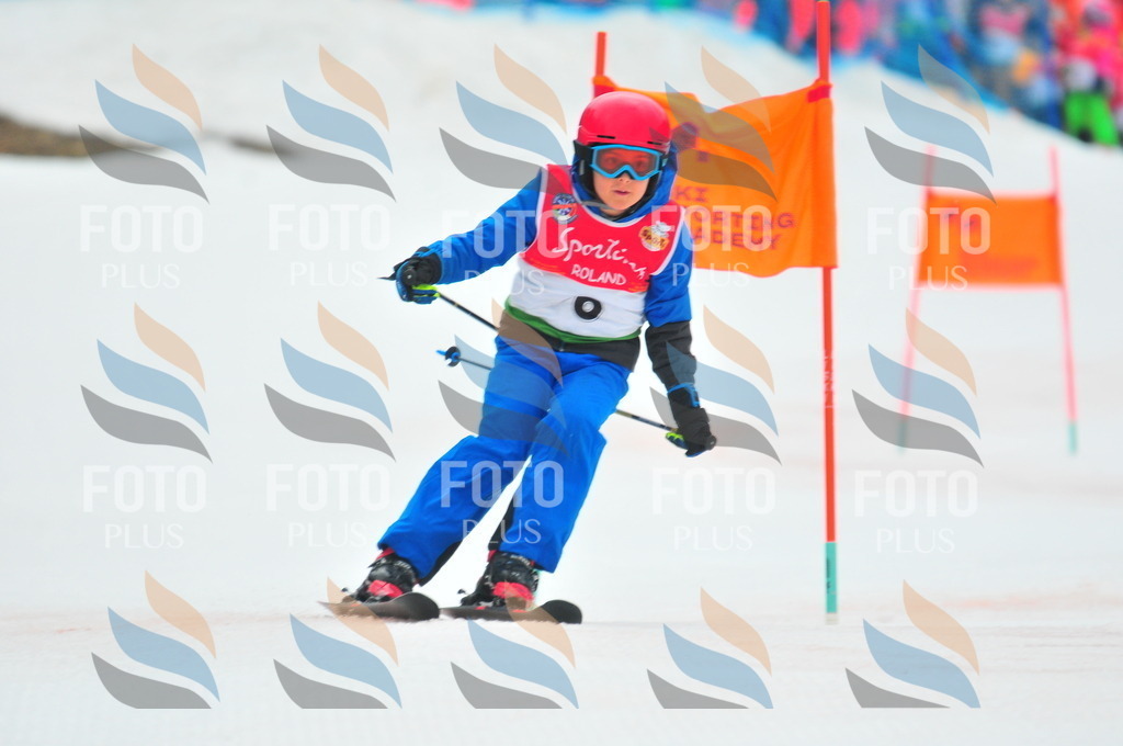 C0340 | holidayphoto