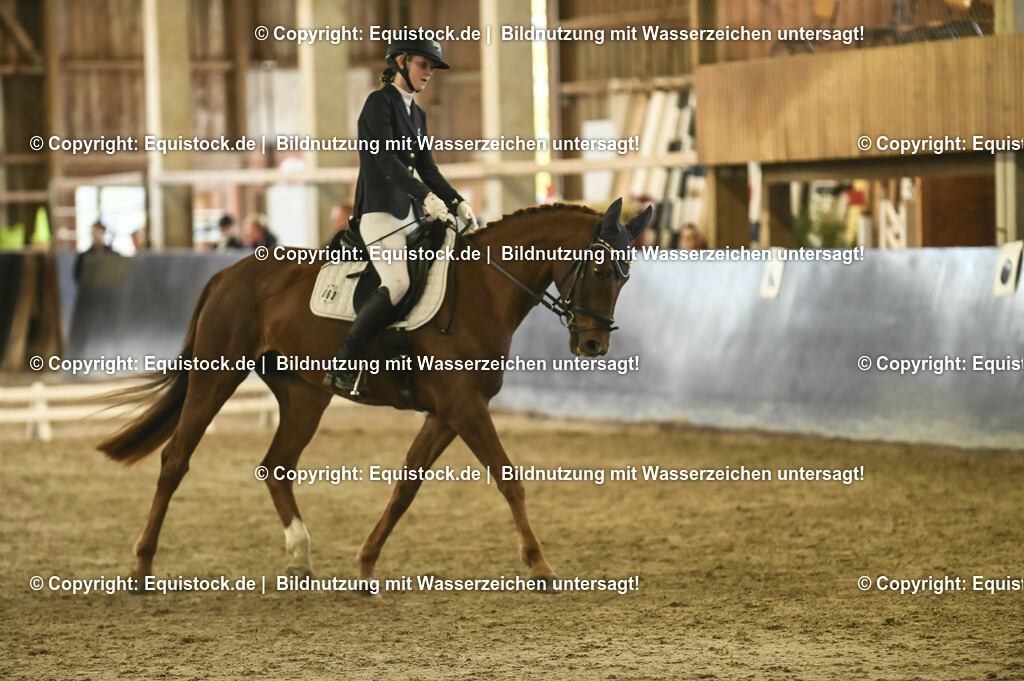 20231029_05_Dressur-A_0166 | Foto: Thomas Hartig