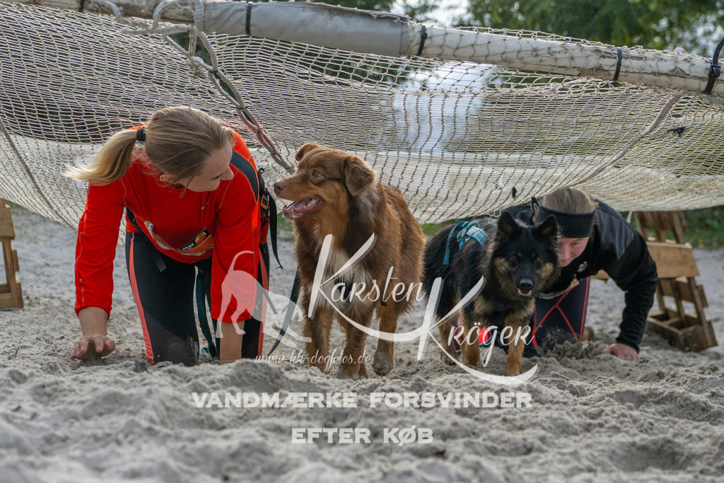1150_ZZ99339 | kk-dogfotos