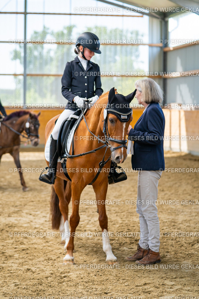 DSC01465 | Pferdegrafie