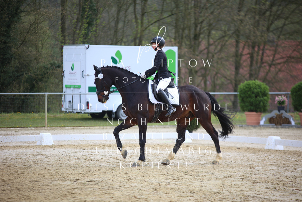 IMGT5400 | pl-fotografie