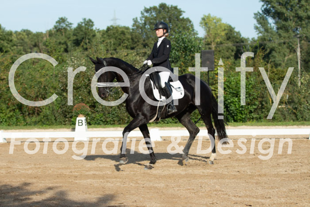 IMG_1012 | Creatify Fotografie