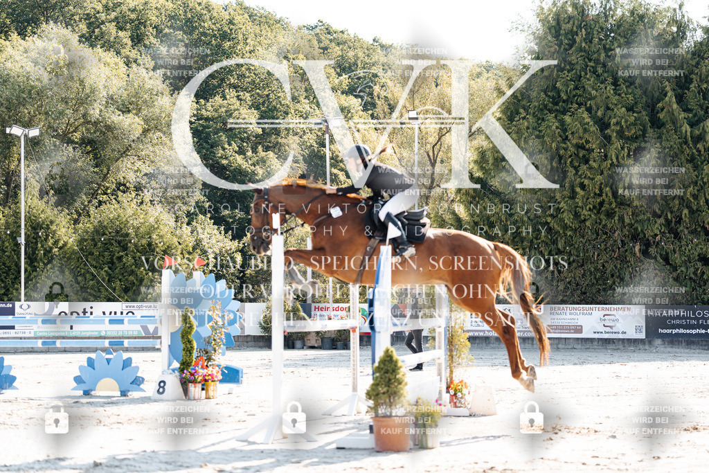 CK901687 | Turnierfotografie Pferdefotografie Trier Rheinland-Pfalz Pferdesport Reitsport Tierfotografie Sportfotografie Pferdevideo Pferdevideografie Equestrianvideography equestrianphotography  - Realisiert mit Pictrs.com