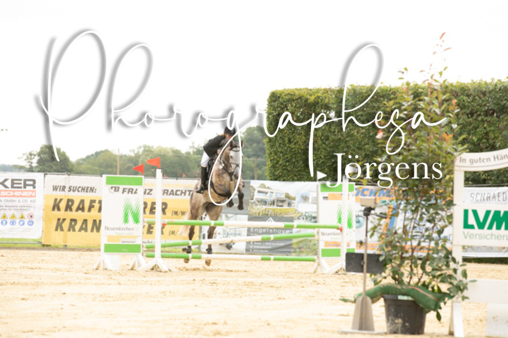 IMG_6565 | photographesa-joergens - Realisiert mit Pictrs.com