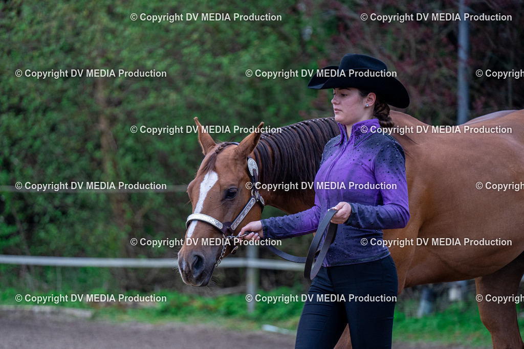 BA300042 | dv-media-shop - Realisiert mit Pictrs.com