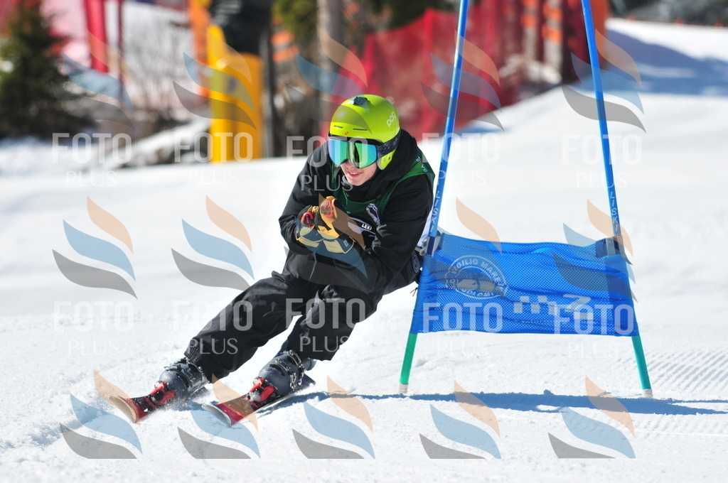 C3500 | holidayphoto