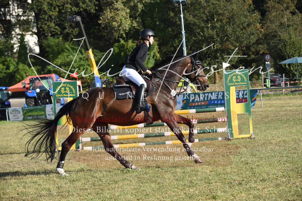 DSC_5131 | Pferde- und Turnierfotografie in Westsachsen. Pferdeportraits, Auftragszeichnungen und intuitive Kunst.