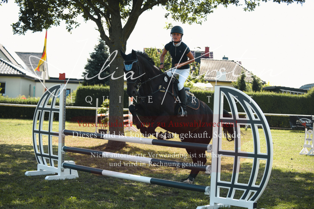 DSC_6917 | Pferde- und Turnierfotografie in Westsachsen. Pferdeportraits, Auftragszeichnungen und intuitive Kunst.