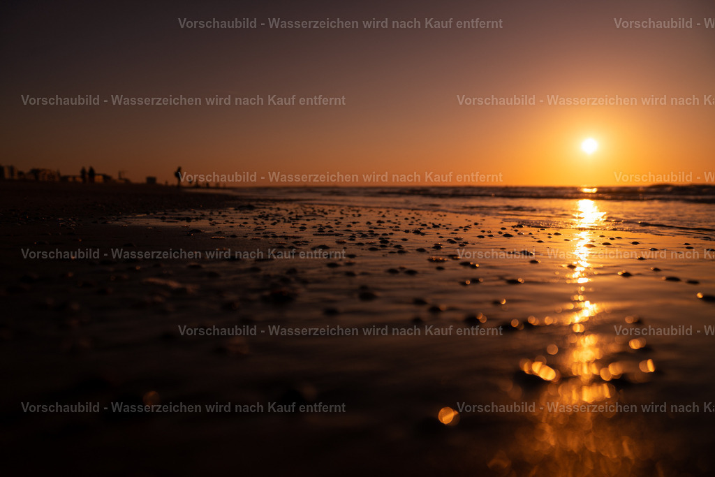 DSC02363 | marcuslinek