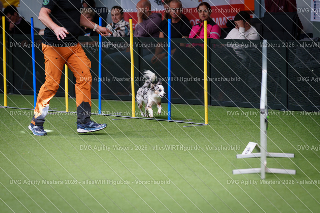 allesWIRTHgut_Tierfotografie-DVG_Agility_Masters_2026-11_15-7R505343 | Professionelle Tierfotografie in Mönchengladbach von Daniel Wirth (allesWIRTHgut). Liebevolle & natürliche Bilder von Hunden & Katzen für unvergessliche Erinnerungen.