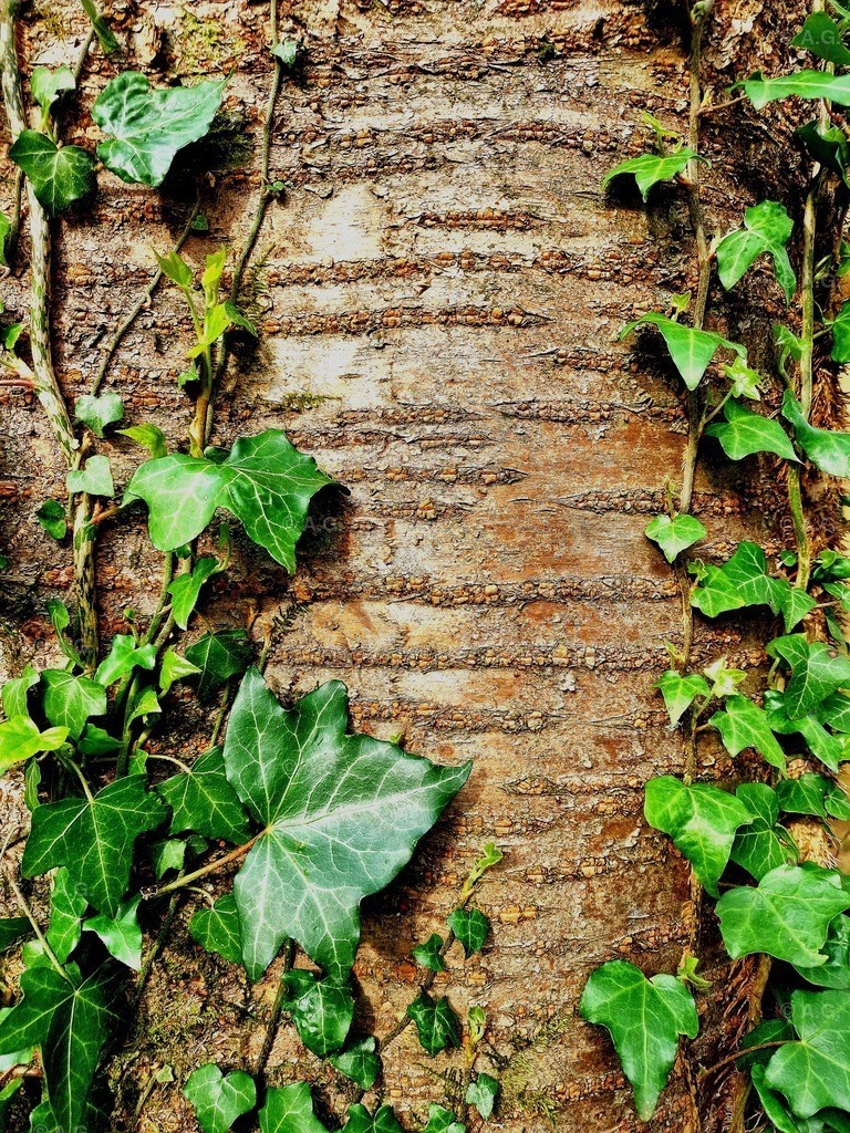 20220414_191534 | aileen-glaeser - Realisiert mit Pictrs.com