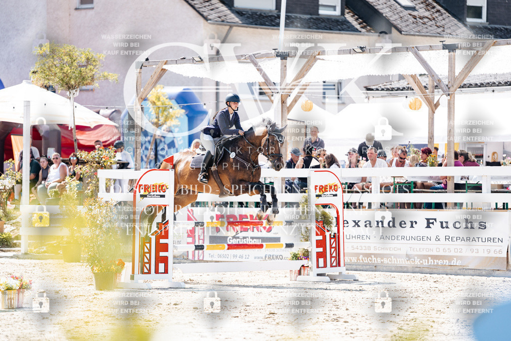 CK909249 | Turnierfotografie Pferdefotografie Trier Rheinland-Pfalz Pferdesport Reitsport Tierfotografie Sportfotografie Pferdevideo Pferdevideografie Equestrianvideography equestrianphotography  - Realisiert mit Pictrs.com