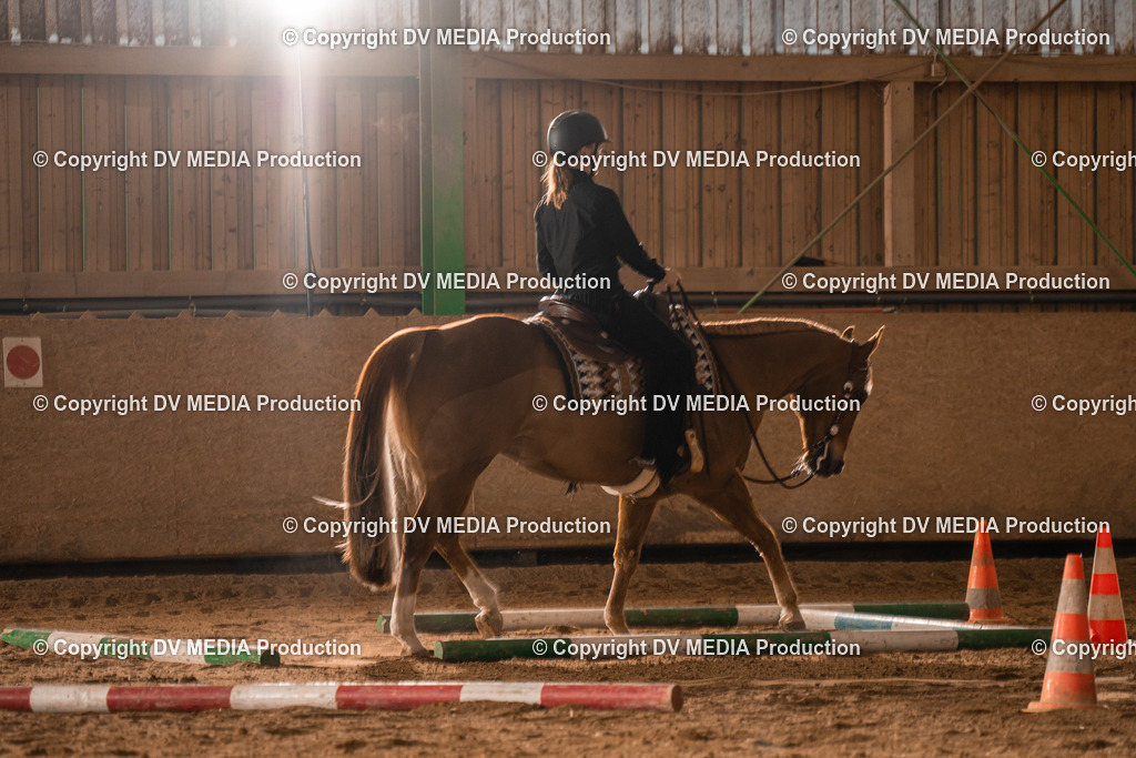 BA400048 | dv-media-shop - Realisiert mit Pictrs.com