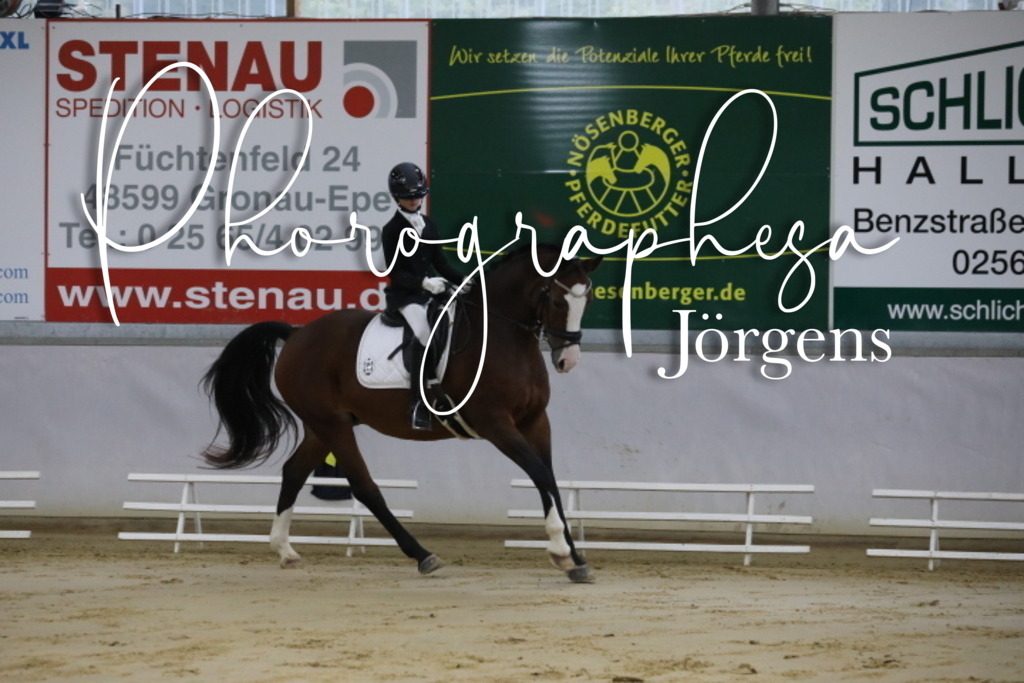 IMG_0178 | photographesa-joergens - Realisiert mit Pictrs.com