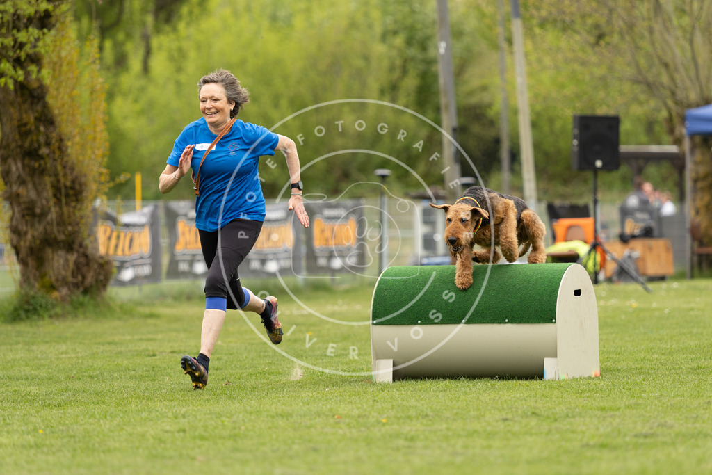 Pfotenfotografie_DV3A9028 | Hundefotografie, Tierfotograf, Pfotenfotografie, Fotoshooting Hund, Hunde Portrait, Hundesport, Hundeportraits, Heideshooting, Hunde, Sportfotograf, Hundefotograf, Turnierhundsport, THS,  - Realisiert mit Pictrs.com