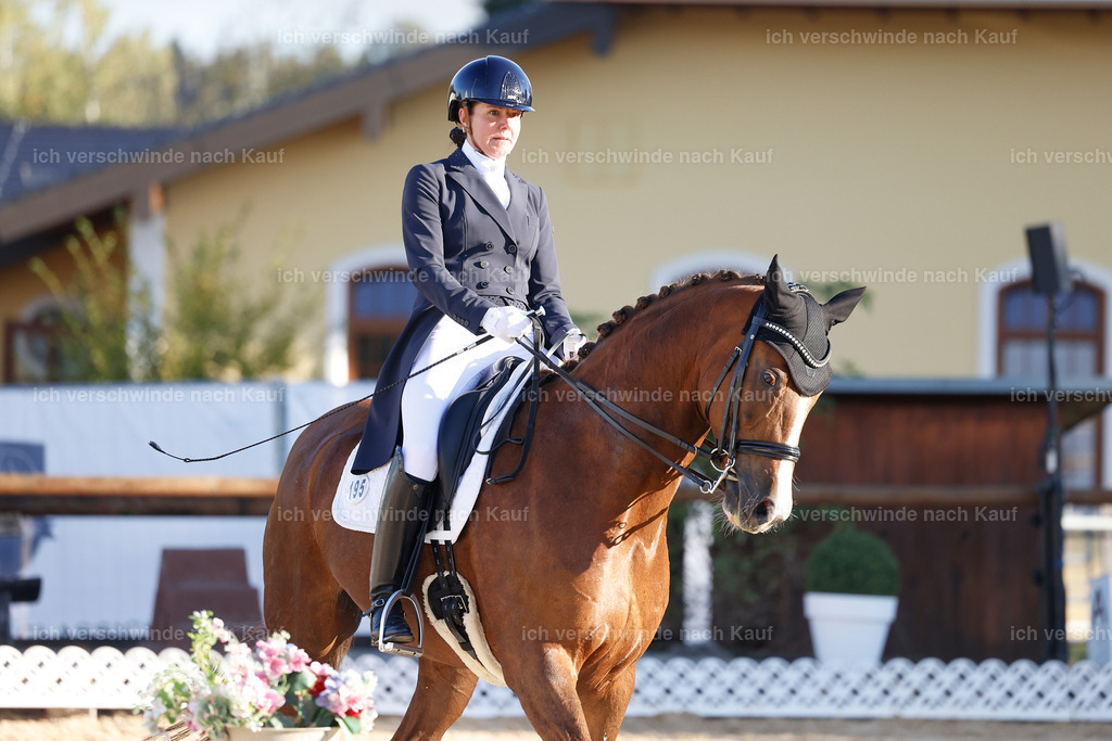 09_1-195-DRESSUR  S_  -StoibPH-5502 | working equitationturnier fotograf videograf stoibphotography marixx film working equitation deutschland reitsport turnierfotografie eventfotografie equestrian events