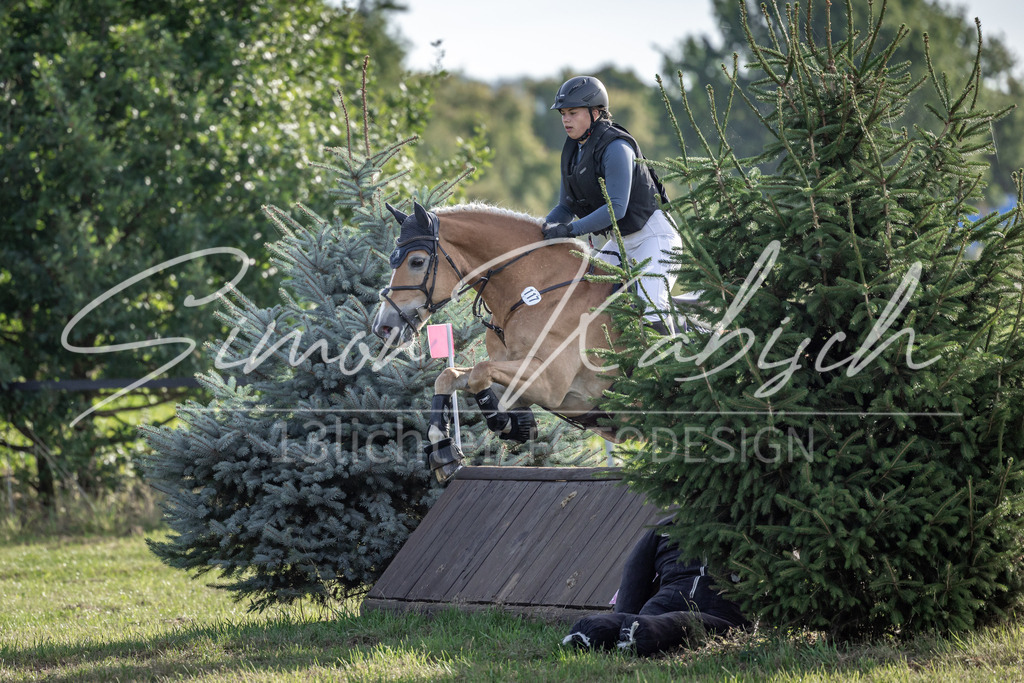 20250907-_3LI8773 | Tierfotografie Pferde, Hunde, Katzen, Haustiere.
Turnierfotografie Reitturniere, Reiten, Springreiten, Dressur in Hanau, dem Main-Kinzig-Kreis und dem Rhein-Main- Gebiet um Frankfurt
