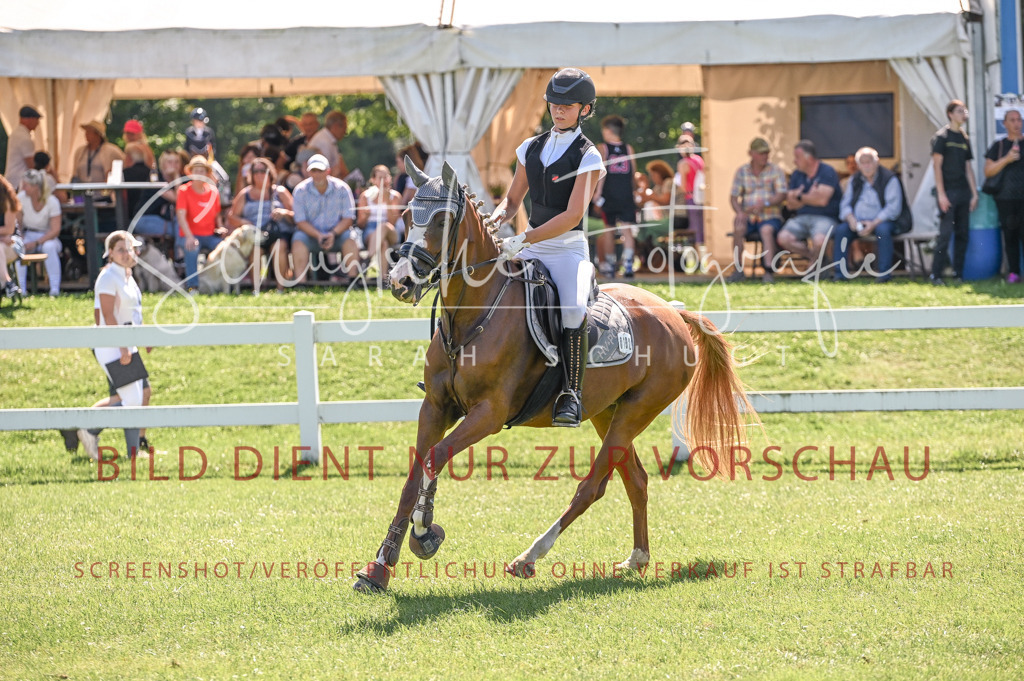 Schugtsche-Düren.2024.04-Stilspringprf.E-79 | Schugtsche Fotografie - Realisiert mit Pictrs.com