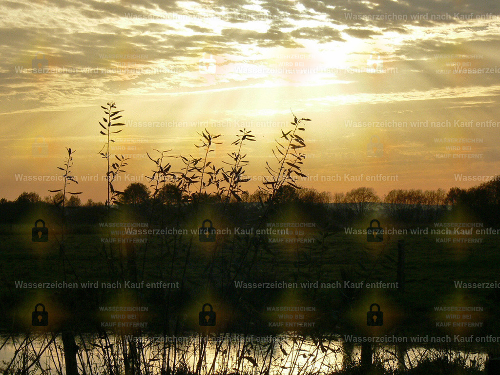 P1080491 | Fotoseite Wolkenblende - Das Hobby fotografieren begleitet mich schon  viele  Jahre. Auf den nächsten Seiten zeige ich ein paar Schnappschüsse der letzten Jahre und es kommen immer neue hinzu. Schau einfach mal rein. - Realisiert mit Pictrs.com