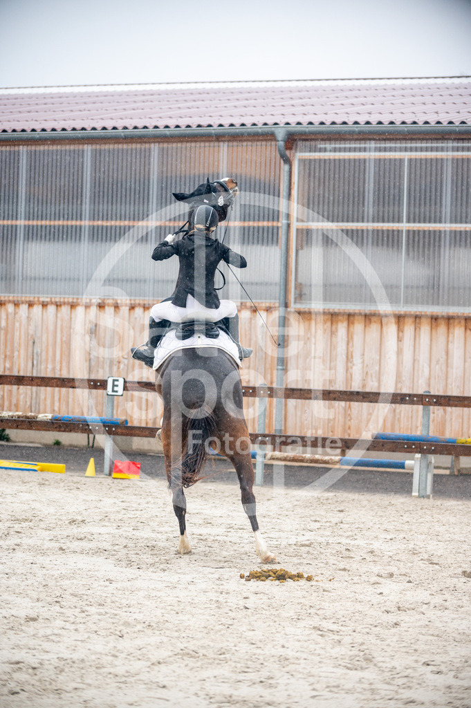 DSC_4570 | sattelsport - Realisiert mit Pictrs.com