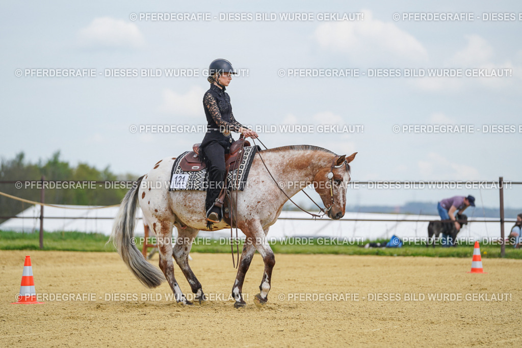 DSC05650 | Pferdegrafie