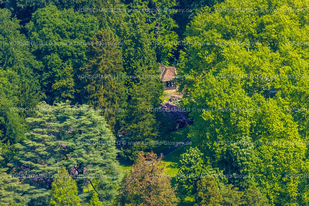 Essen220502597 | Luftbild, Park der Villa Hügel und Rhododendronblüte, Essen-Bredeney, Essen, Ruhrgebiet, Nordrhein-Westfalen, Deutschland