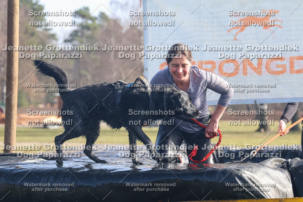 Dog Paparazzi - Strongdog North Mrz26-811 | Dog Paparazzi Jeanette Grottendiek Fotografie & Videografie - Realisiert mit Pictrs.com
