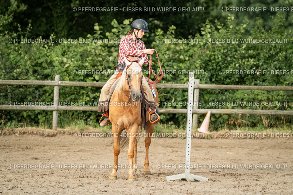 DSC06082 | Pferdegrafie