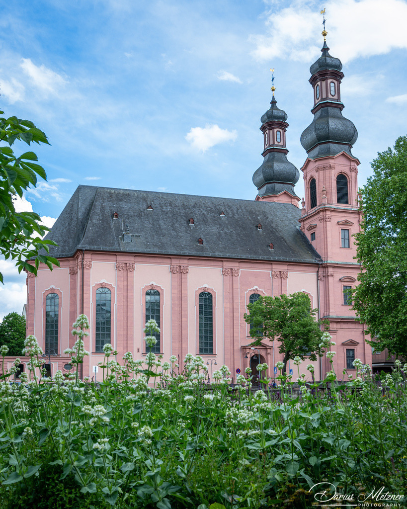 DSC_6147 2 | Fotografien, Fotos und Bilder aus Mainz, Frankfurt, Wiesbaden und anderen Orten auf der Welt - Fotografiert von Darius Metzner