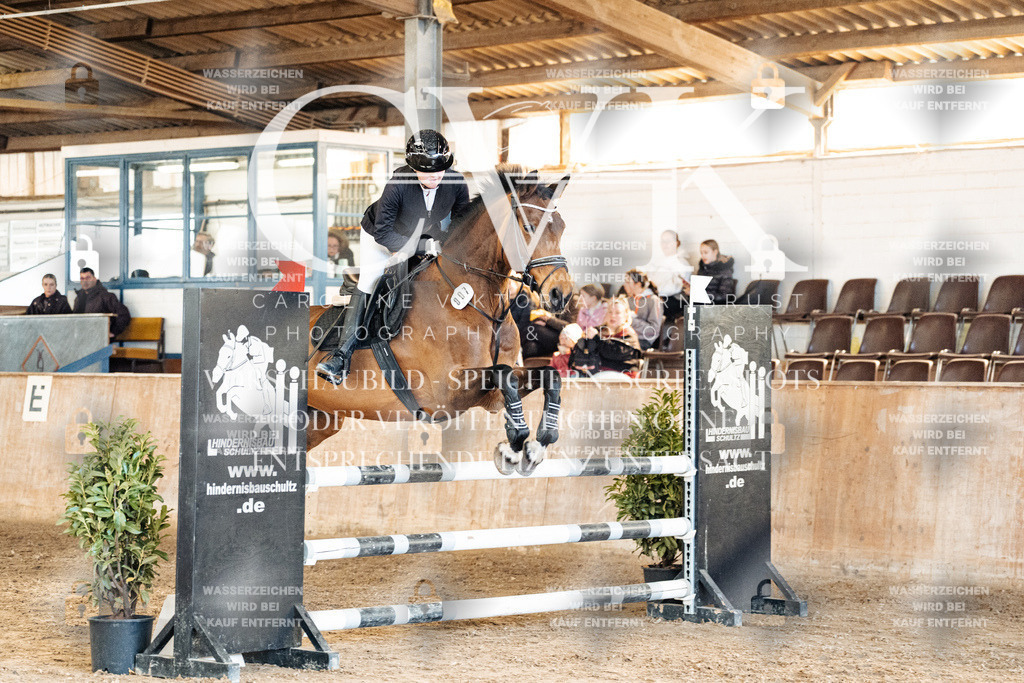 CK904848 | Turnierfotografie Pferdefotografie Trier Rheinland-Pfalz Pferdesport Reitsport Tierfotografie Sportfotografie Pferdevideo Pferdevideografie Equestrianvideography equestrianphotography  - Realized with Pictrs.com