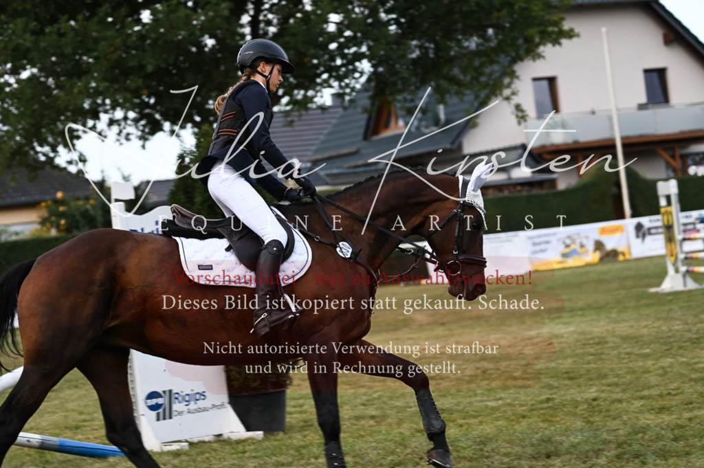 DSC_5661 | Pferde- und Turnierfotografie in Westsachsen. Pferdeportraits, Auftragszeichnungen und intuitive Kunst.