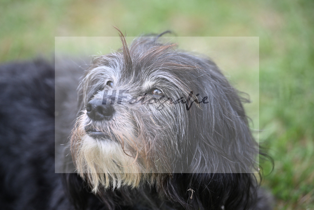Impressionen_26267874 | hf-fotografie - Realisiert mit Pictrs.com