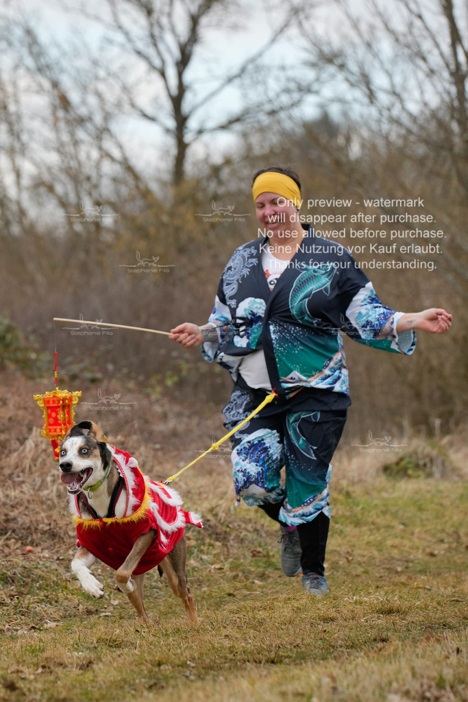 Fasching-61 | stephaniefillaphotographie - Realisiert mit Pictrs.com