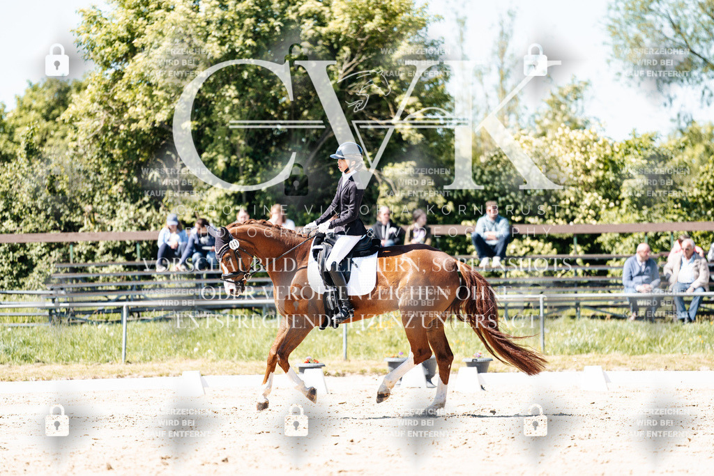 CK905331 | Turnierfotografie Pferdefotografie Trier Rheinland-Pfalz Pferdesport Reitsport Tierfotografie Sportfotografie Pferdevideo Pferdevideografie Equestrianvideography equestrianphotography  - Realisiert mit Pictrs.com