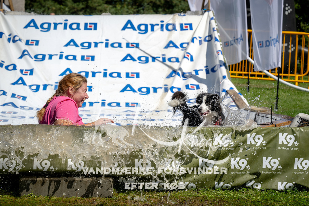 1257_ZZ97614 | kk-dogfotos
