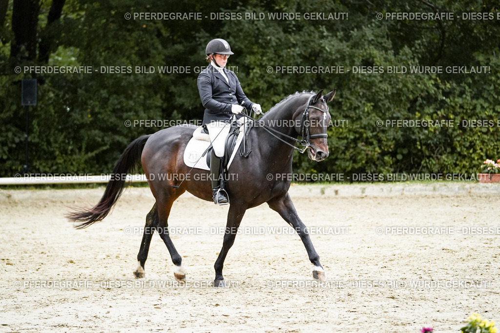 DSC00426 | Pferdegrafie