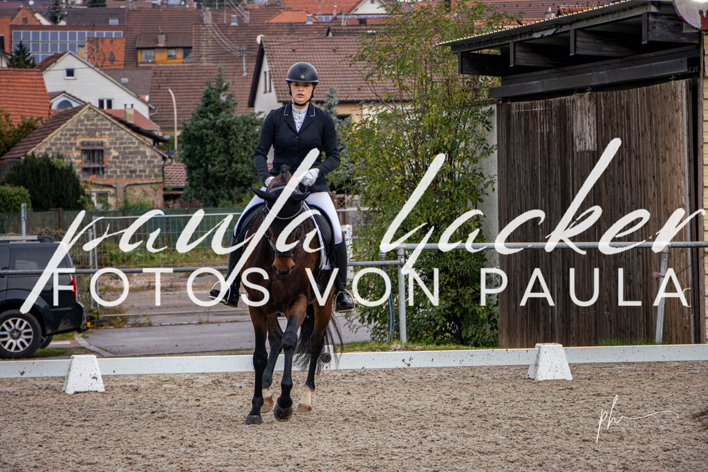 IMG_7425 | Erleben Sie dynamische Sport- und emotionale Tierfotografie in Süddeutschland mit Fotos von Paula. Spezialisiert auf Pferde- und Hundefotografie sowie Sportevents. Kontaktieren Sie mich für einzigartige und ausdrucksstarke Bilder Ihrer besonderen Momente. - Realisiert mit Pictrs.com