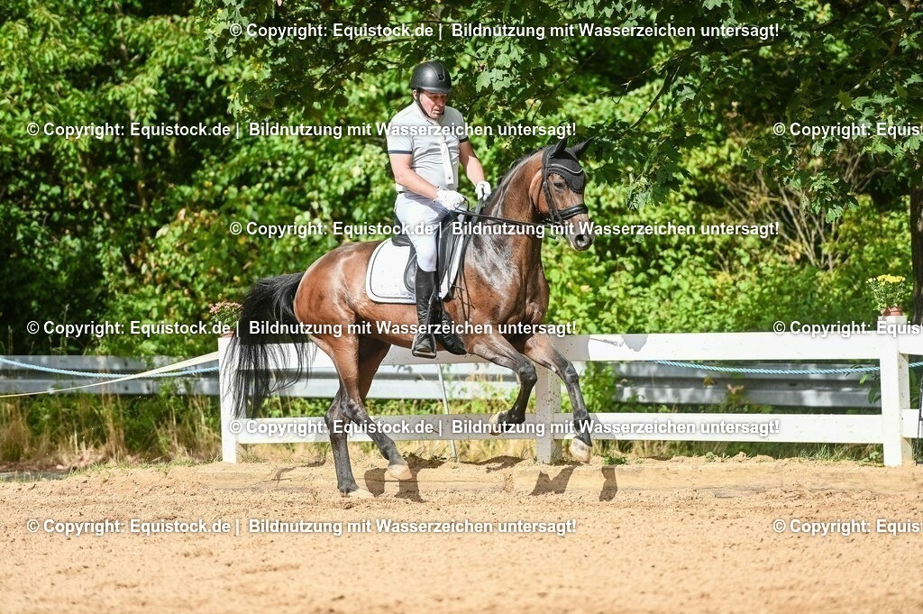 20230716_01_Dressurprüfung Kl.M_0564 | equistock