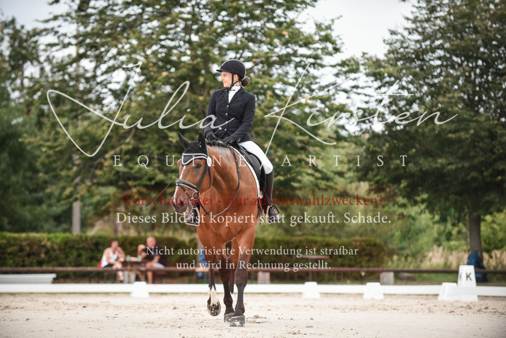 DSC_8105 | Pferde- und Turnierfotografie in Westsachsen. Pferdeportraits, Auftragszeichnungen und intuitive Kunst.