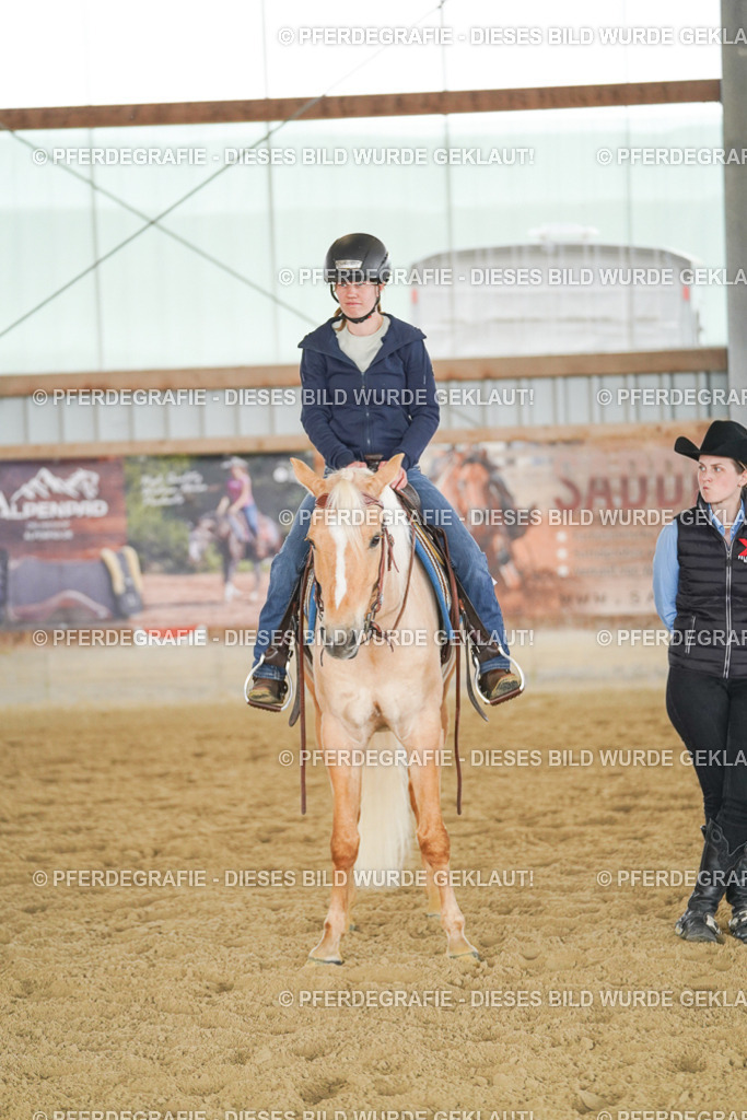 DSC05072 | Pferdegrafie