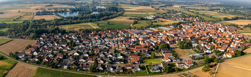 Luftbild: Panorama in Neupotz im Bundesland Rheinland-Pfalz in Deutschland. Foto: IMG_122175-Pano.jpg vom 11.08.2020 durch Werner Riehm/FLY-FOTO.de – Auflösung des Originals: 8883 x 2748 px