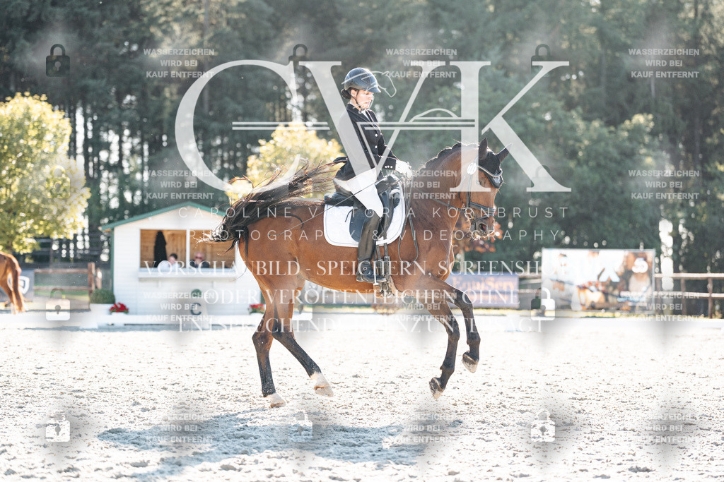 CK906797 | Turnierfotografie Pferdefotografie Trier Rheinland-Pfalz Pferdesport Reitsport Tierfotografie Sportfotografie Pferdevideo Pferdevideografie Equestrianvideography equestrianphotography  - Realisiert mit Pictrs.com