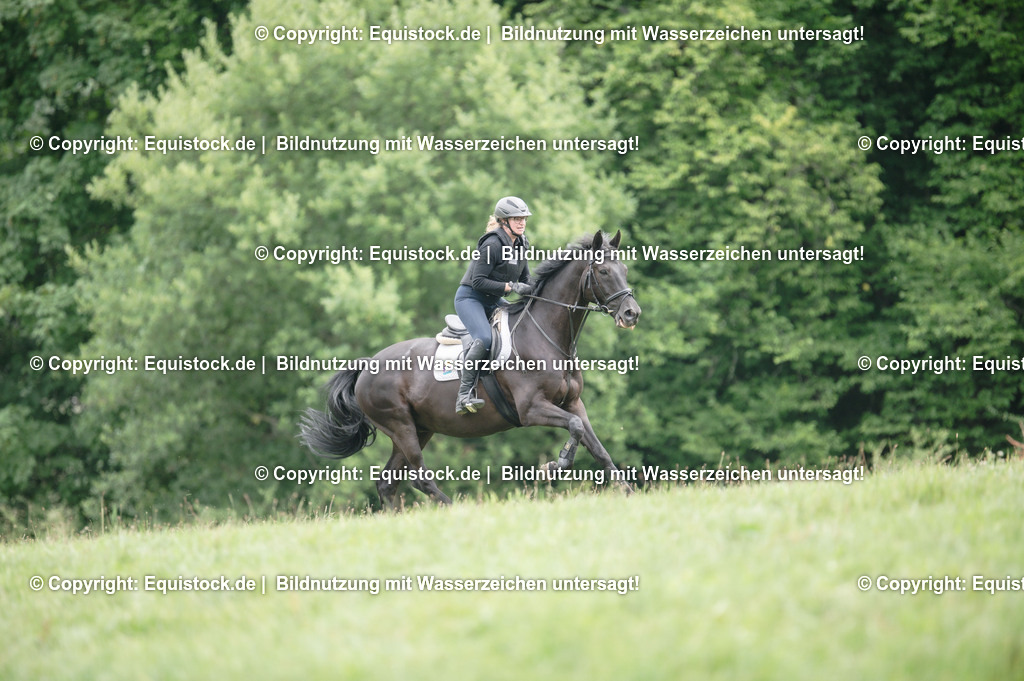 20250726_Vielseitigkeitslehrgang-Marbach_0796 | Foto: Thomas Hartig