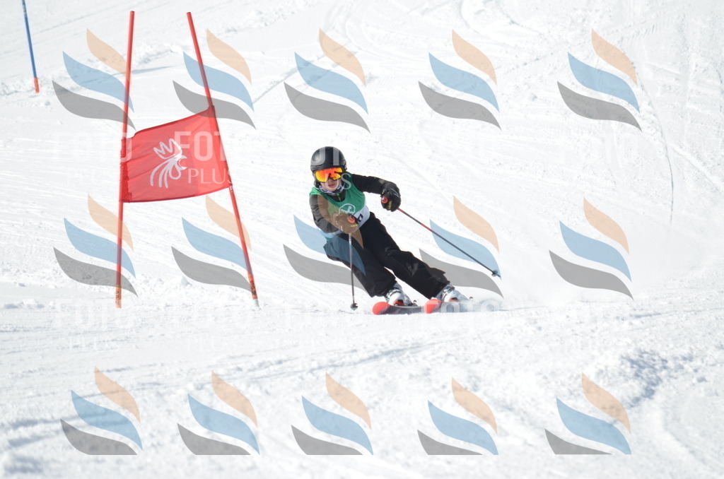 D9159 | holidayphoto