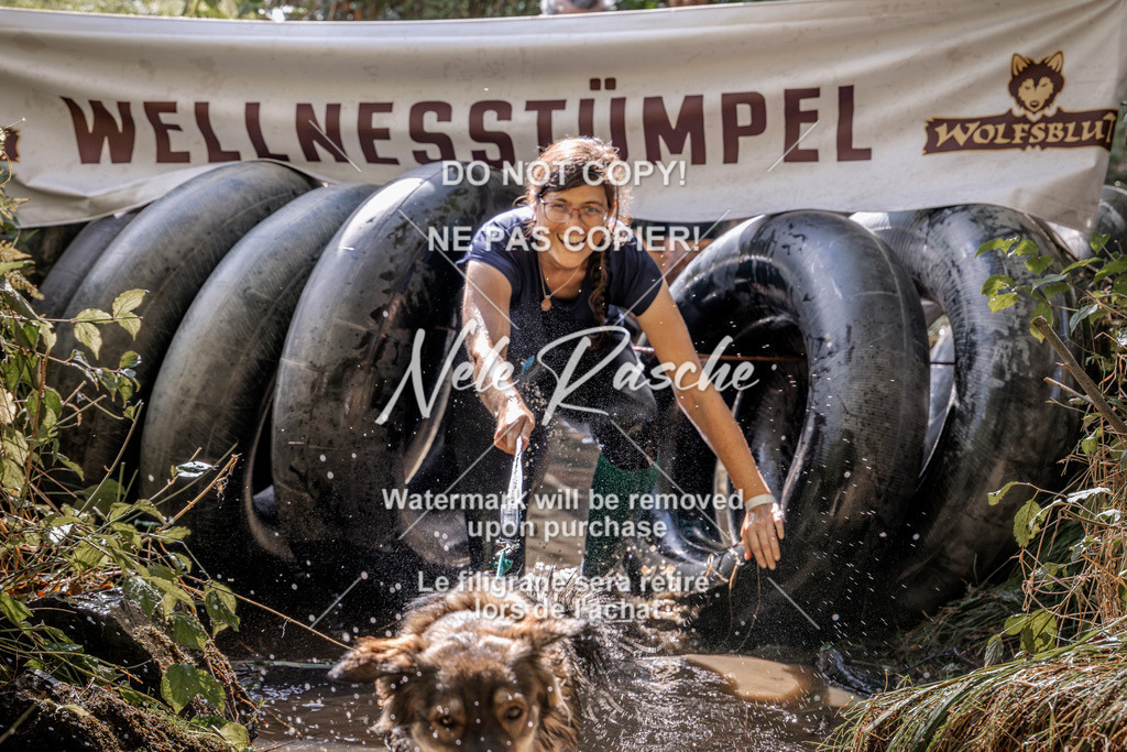 nelerasche_Hunsrück2026_Sa1400-1500_21 | nelerasche