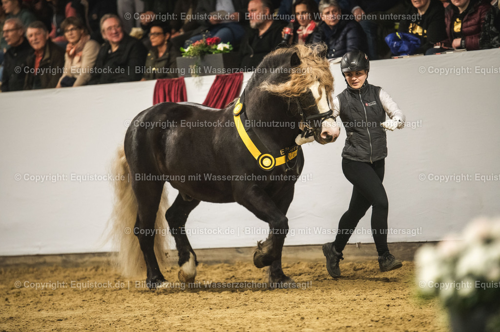 20240302_Hengstvorstellung_Marbach_TOMsPiC_0599 | equistock